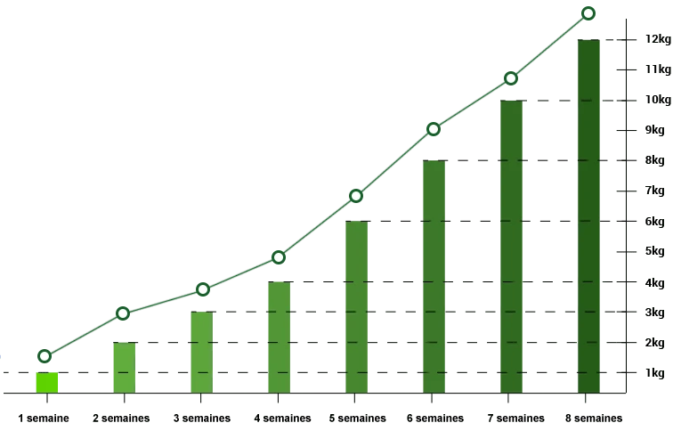 Résultats de perte de poids avec Green Barley Plus : Graphique
